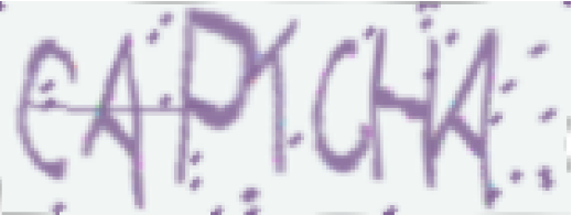 Captcha Example