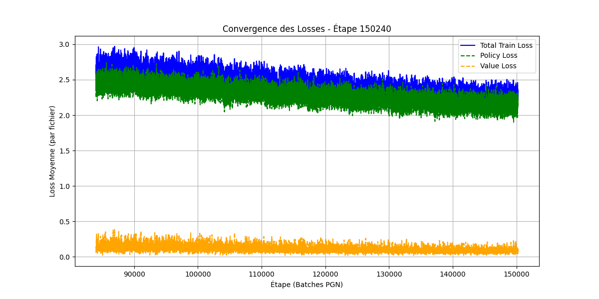 Detailed Loss convergences