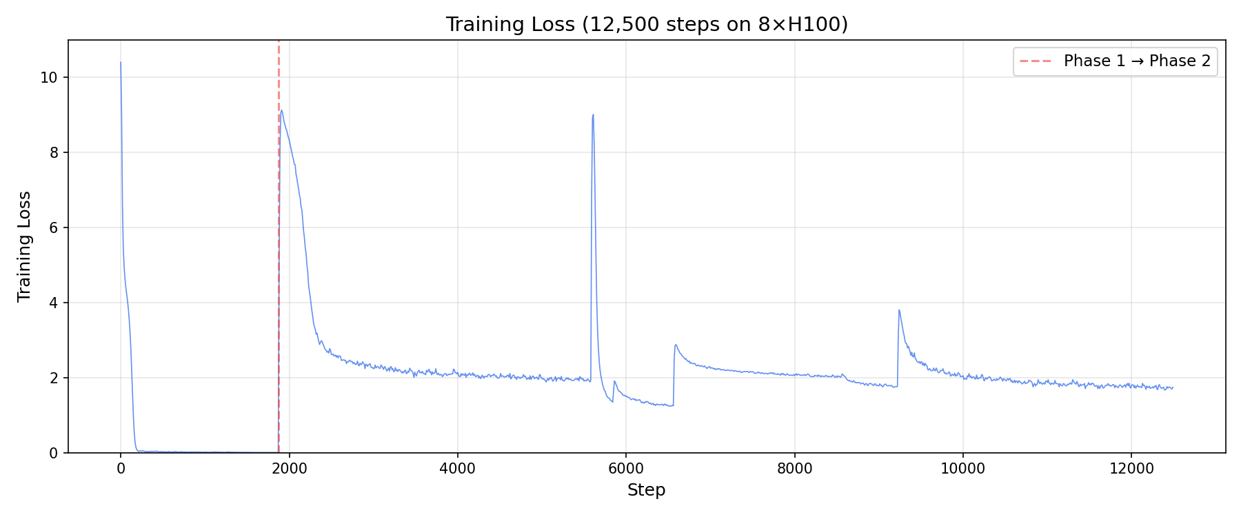 Training Loss
