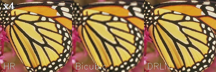 Comparing Bicubic upscaling against the models x4 upscaling on Set5 Image 2 Comparing Bicubic upscaling against the models x4 upscaling on Set5 Image 2