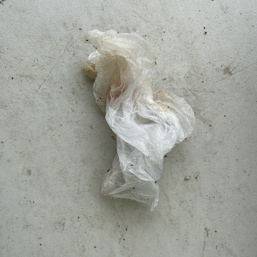 Plastic_194.jpg