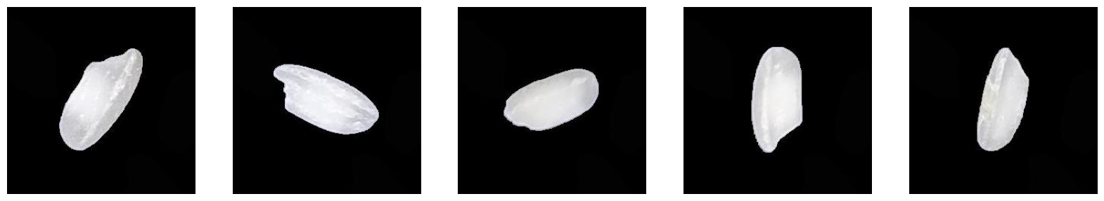 Arborio.png