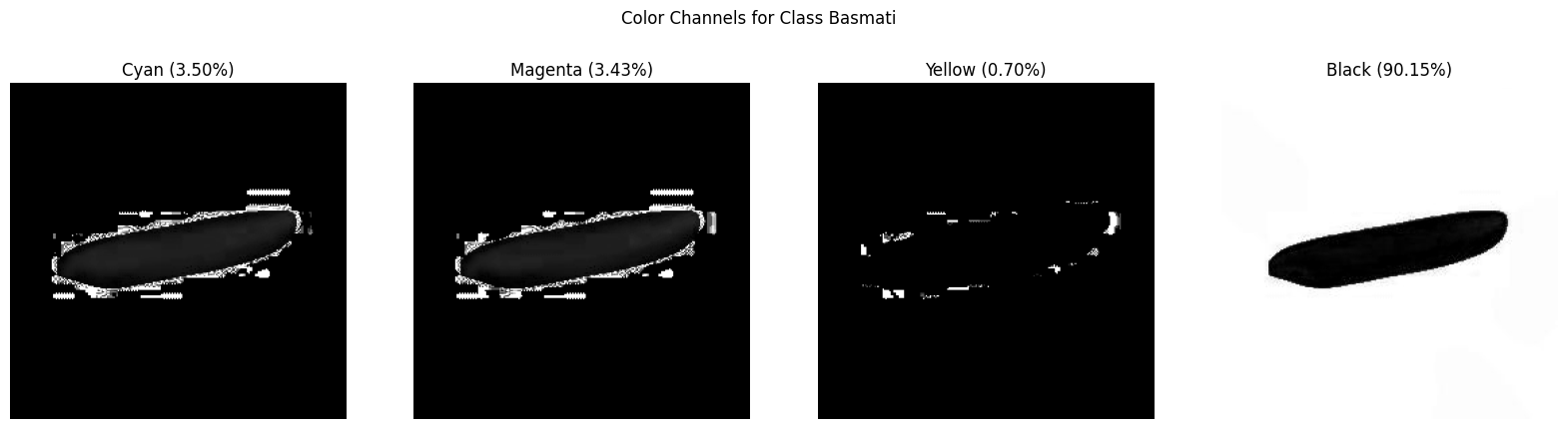 CYMK Color Channels Basmati.png