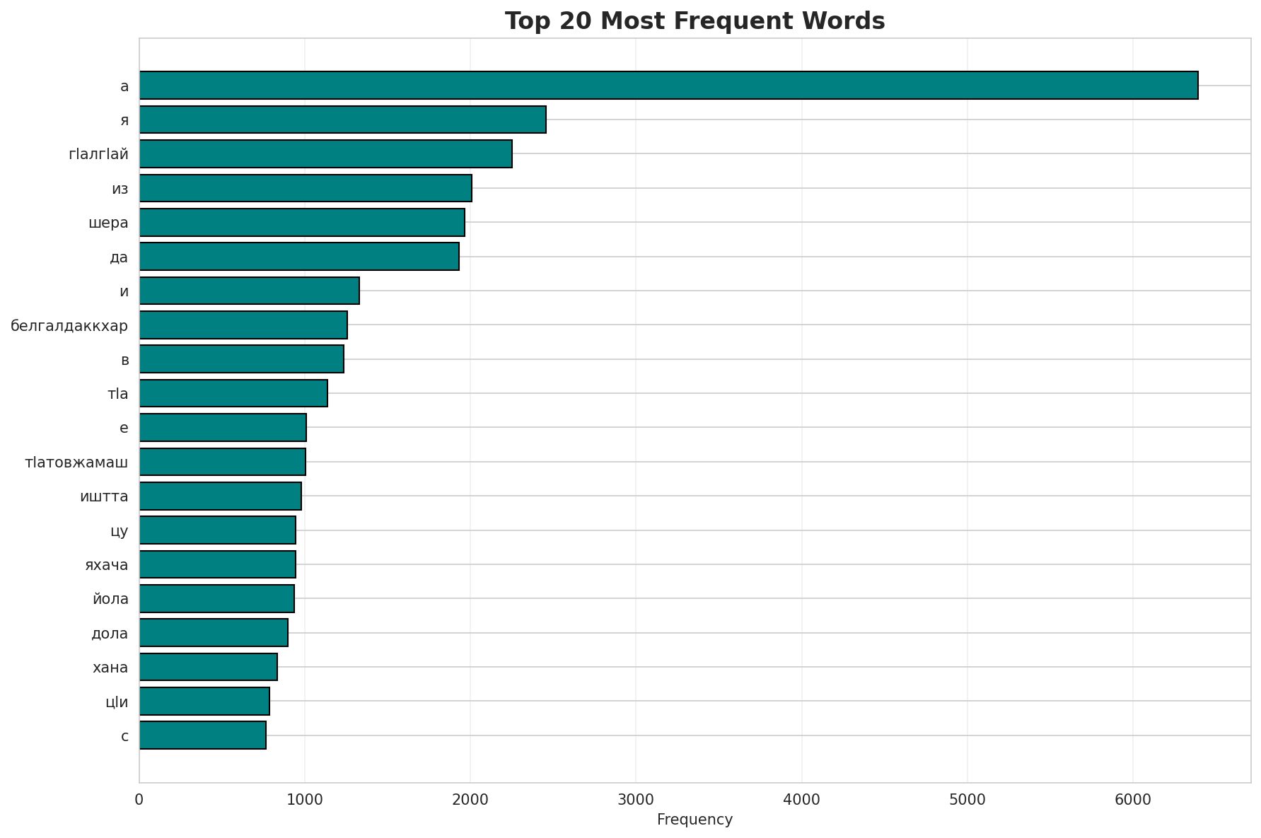 Top Words