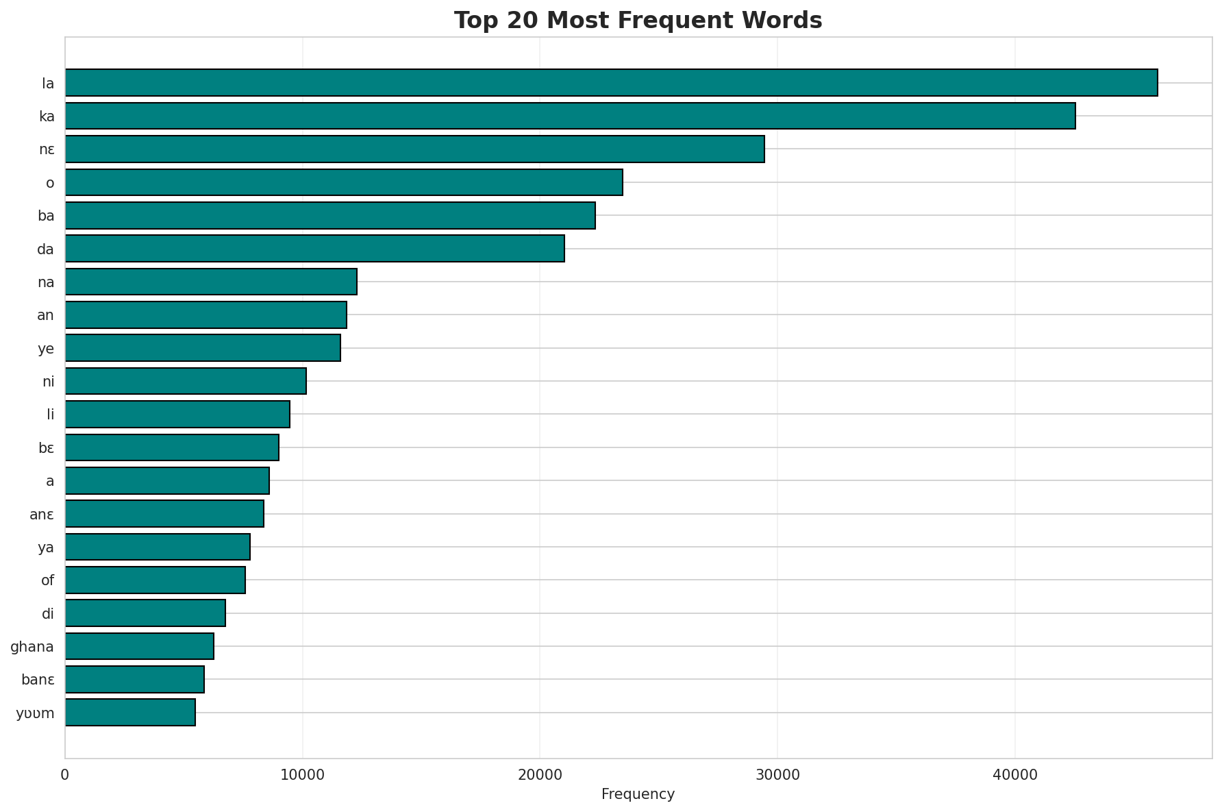 Top Words