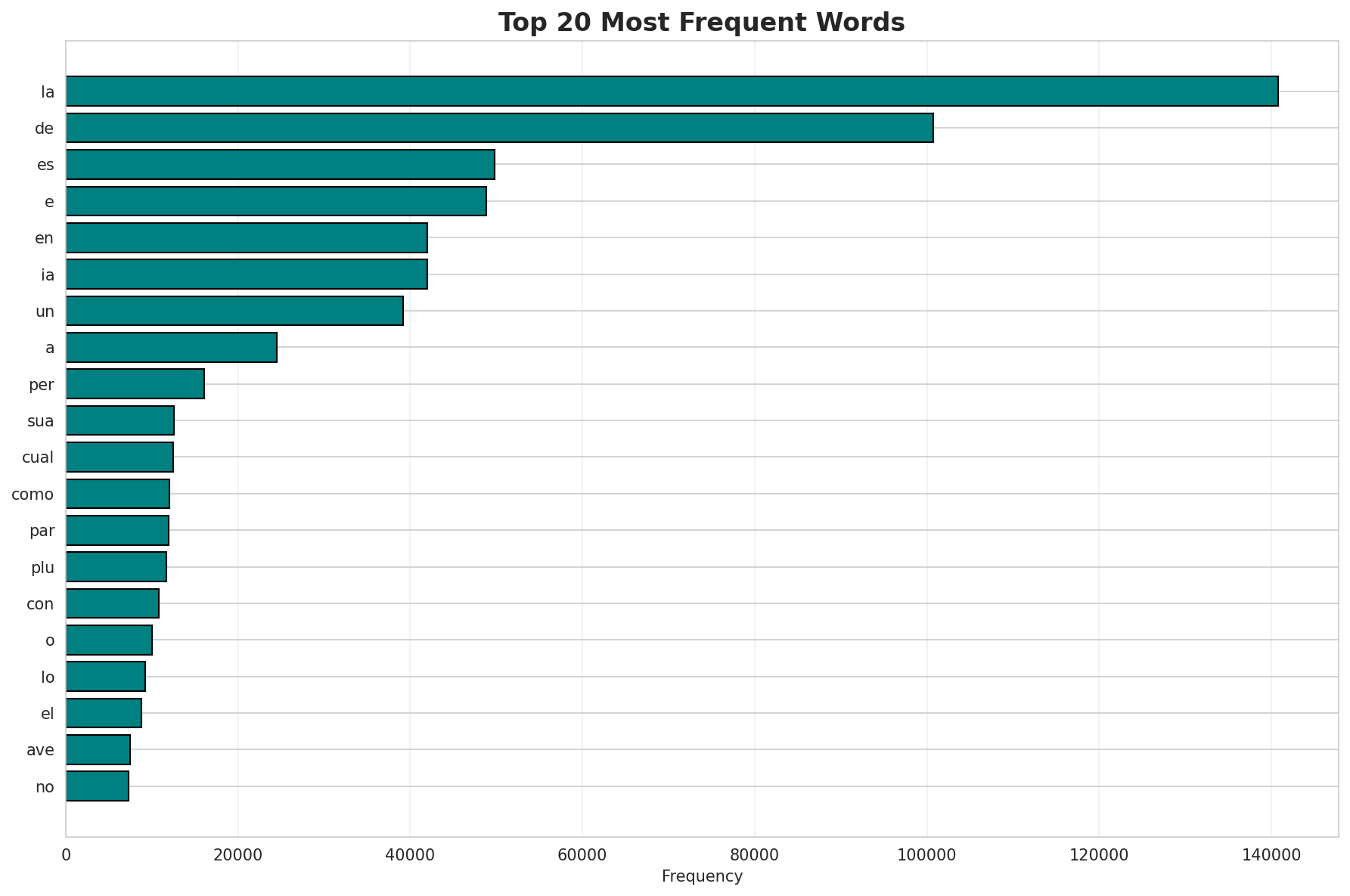 Top Words