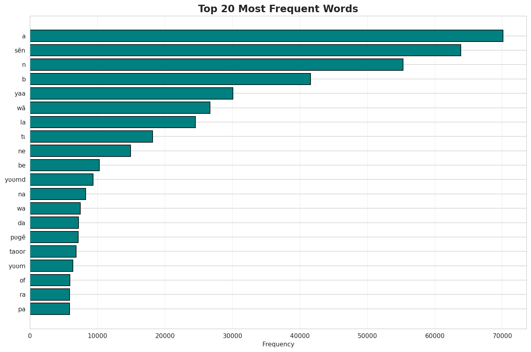 Top Words