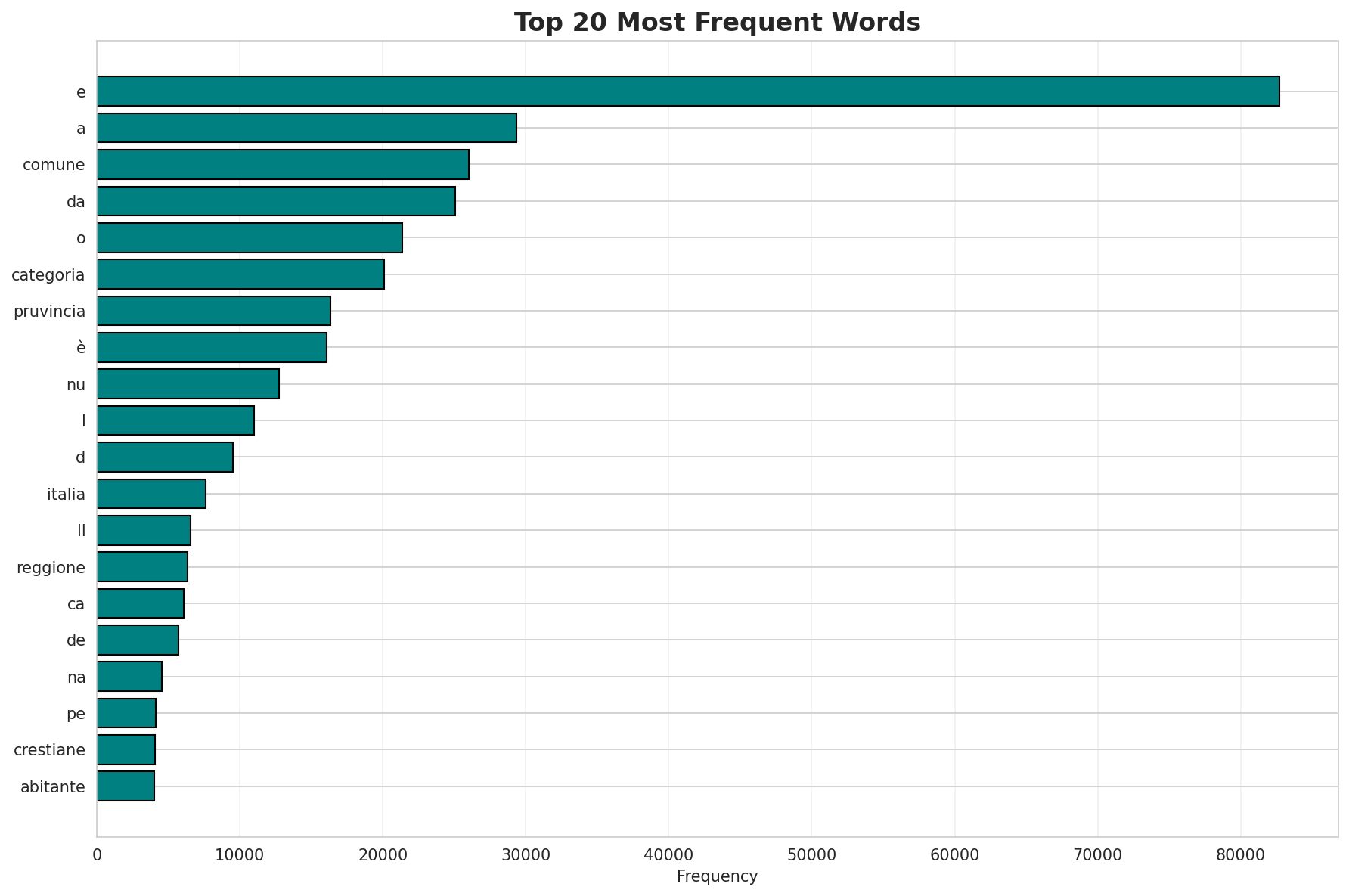 Top Words
