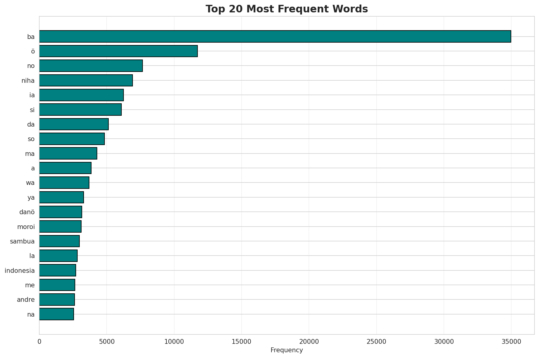 Top Words