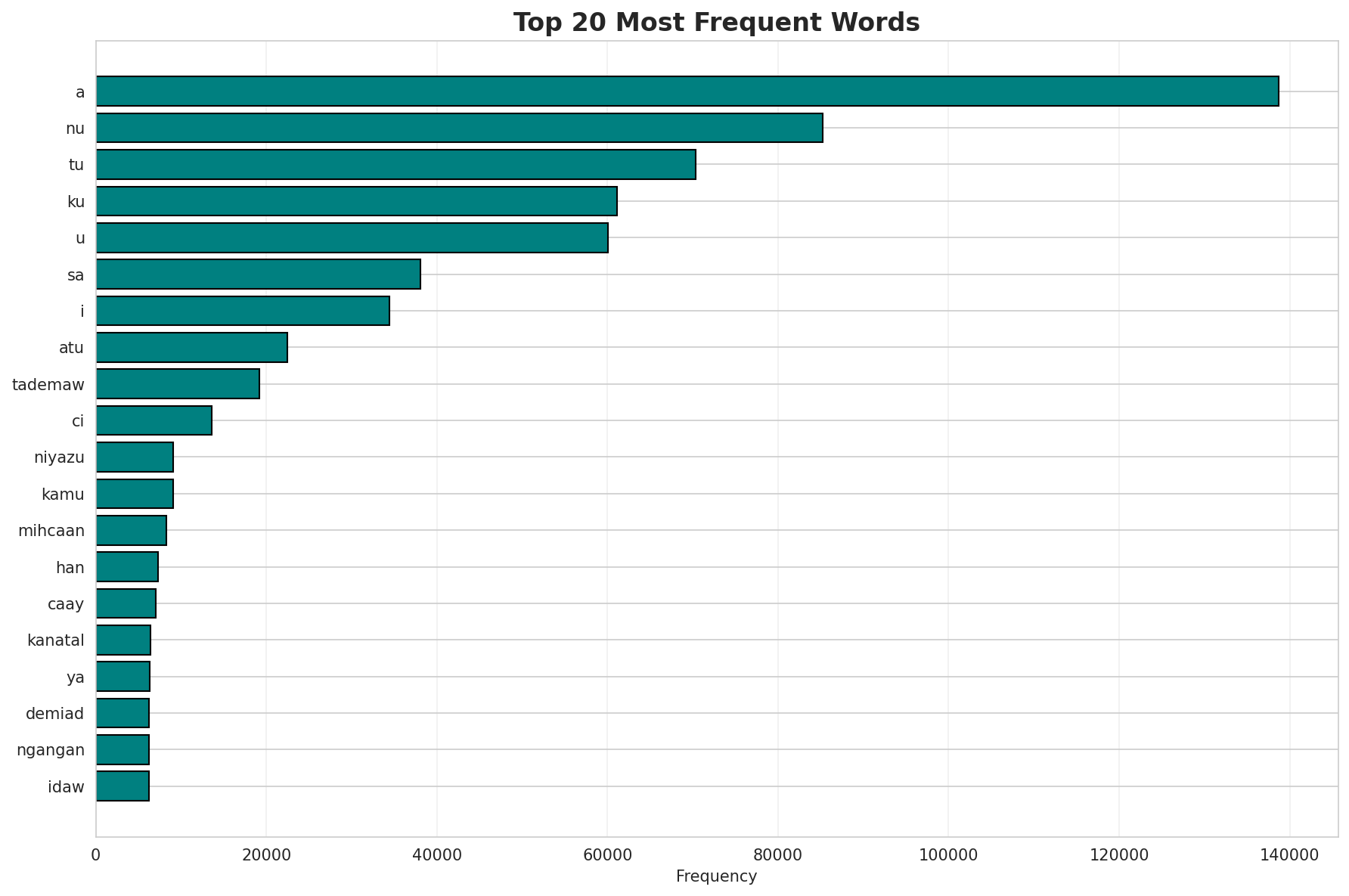 Top Words